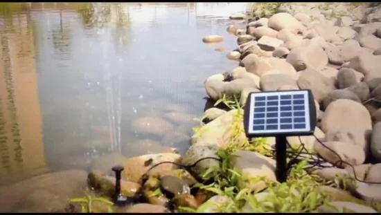 Kit de bomba de aire Solar, respaldo de batería con mangueras de aire, aireador de estanque, oxigenador de burbujas, pecera acuapónica, envío directo